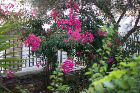 Glyfada Riviera Home Athen Exterior foto