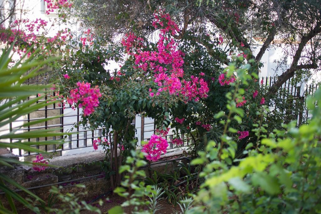 Glyfada Riviera Home Athen Exterior foto